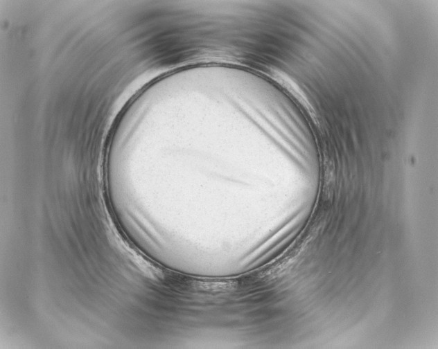 X0000086971339200705141641