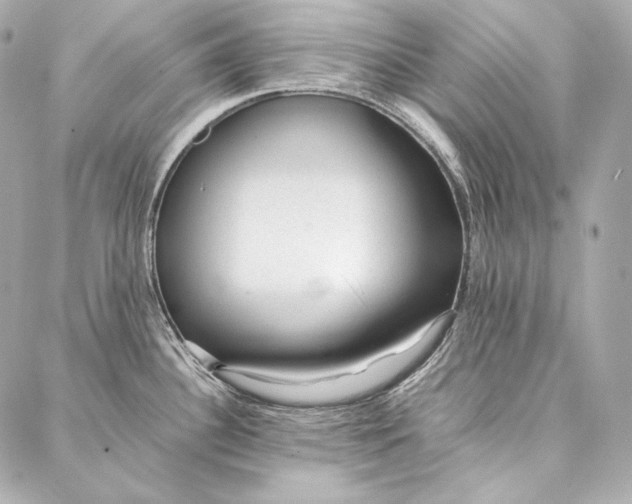 X0000086971340200705141641