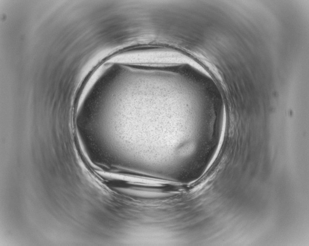 X0000086971342200705141641