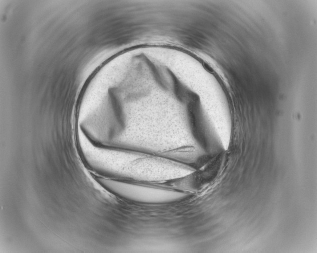 X0000086971343200705141641