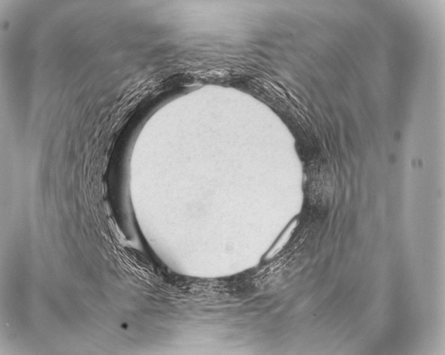 X0000086971345200705141640