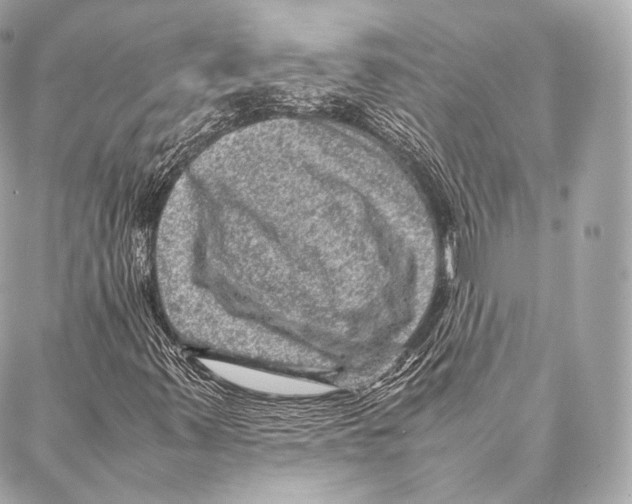 X0000086971347200705141640