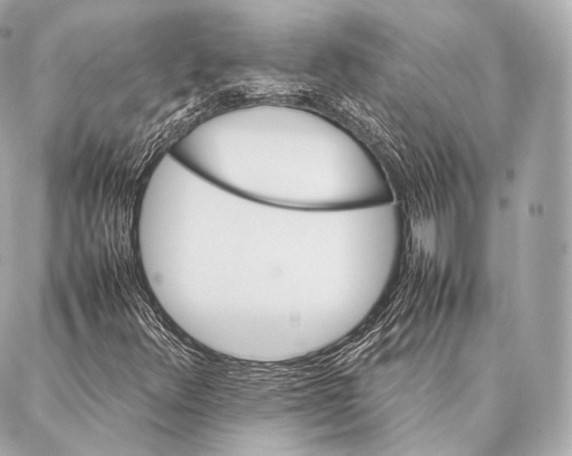 X0000086971348200705141640