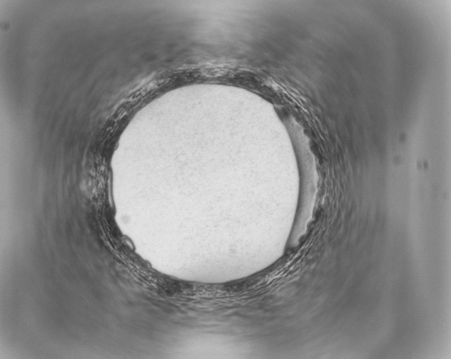 X0000086971349200705141640