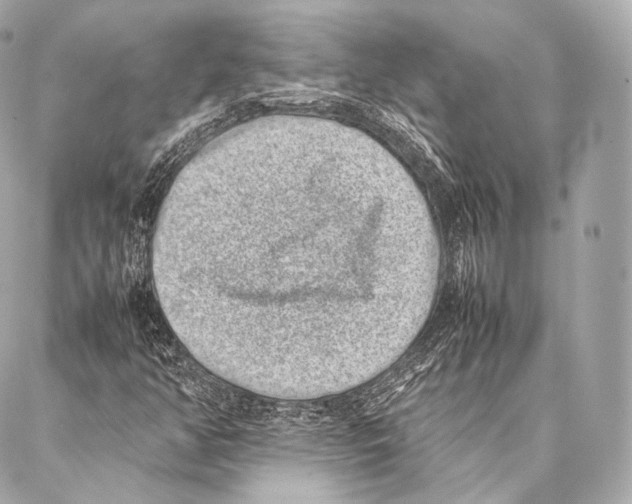 X0000086971350200705141640