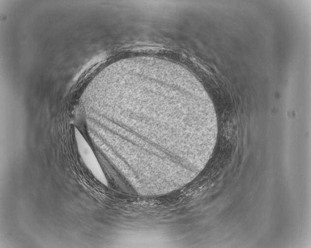 X0000086971351200705141640