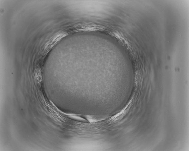 X0000086971353200705141640