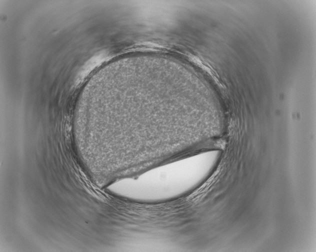 X0000086971355200705141640