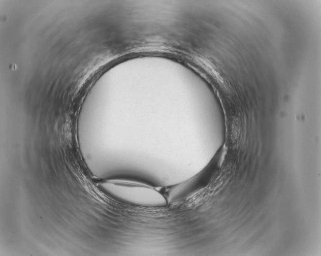 X0000086971356200705141640