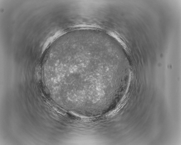 X0000086971357200705141640