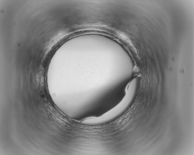 X0000086971360200705141640