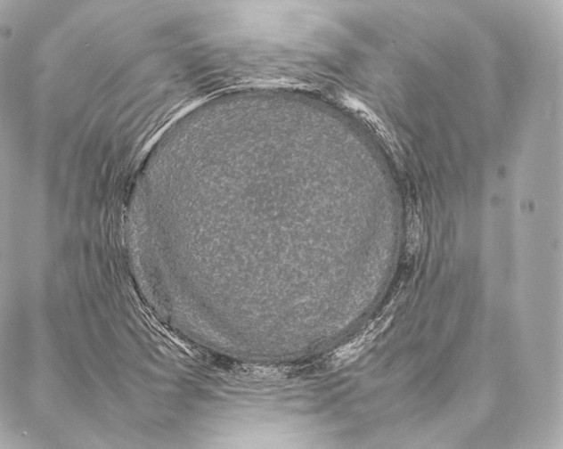 X0000086971361200705141640