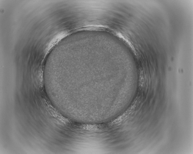 X0000086971362200705141640