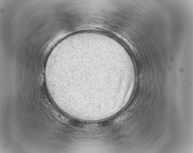 X0000086971363200705141640