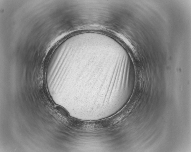 X0000086971364200705141640