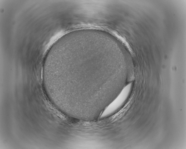 X0000086971365200705141640