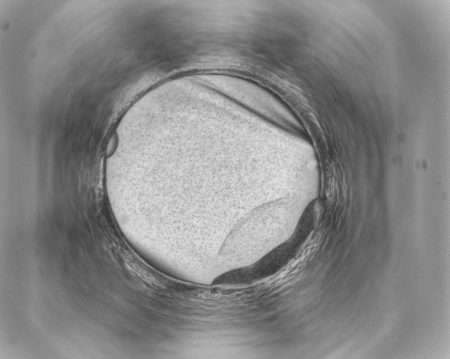 X0000086971366200705141640