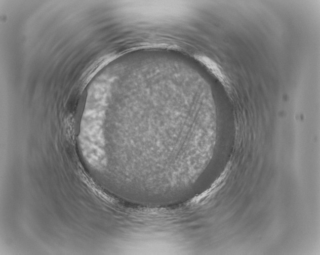 X0000086971369200705141640