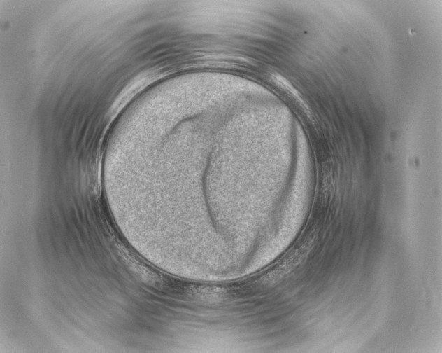 X0000086971370200705141640