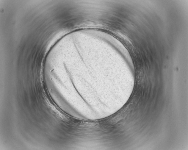 X0000086971374200705141640