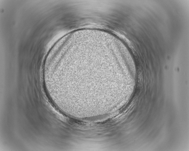 X0000086971375200705141640