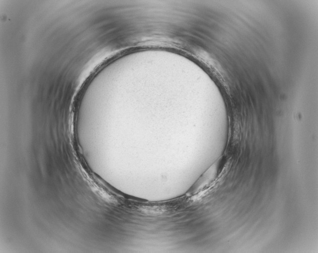 X0000086971376200705141640