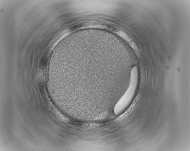 X0000086971377200705141640