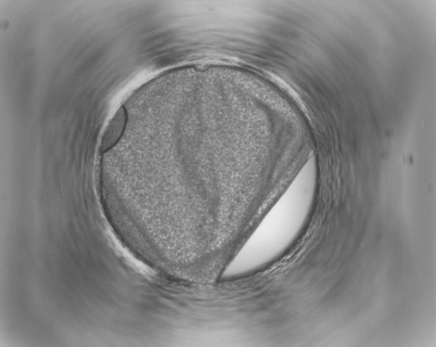 X0000086971379200705141640