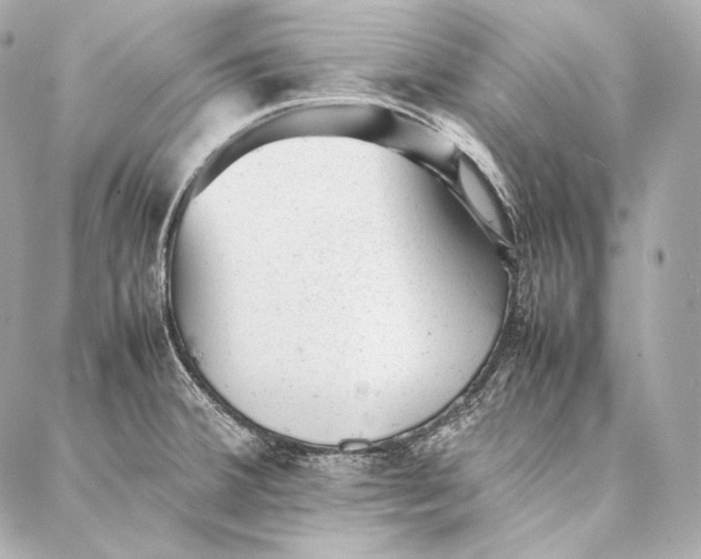 X0000086971380200705141640