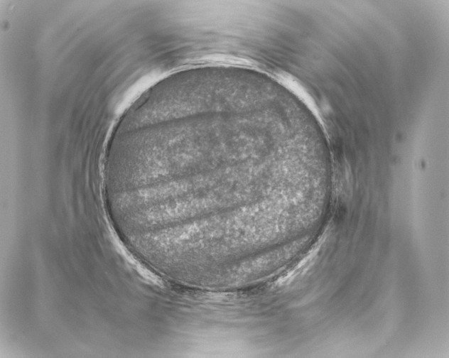 X0000086971381200705141640