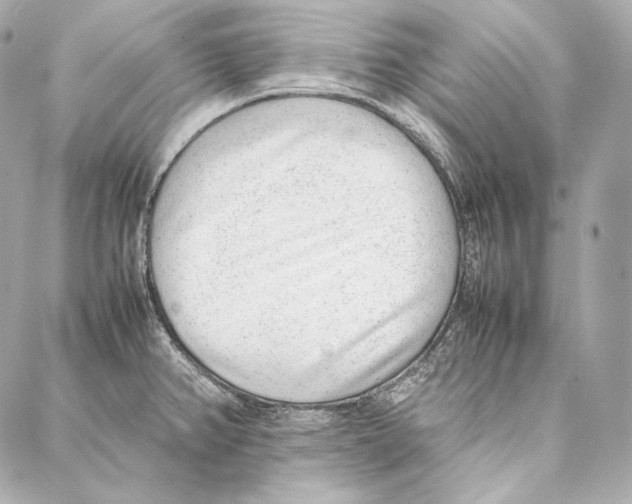 X0000086971382200705141640