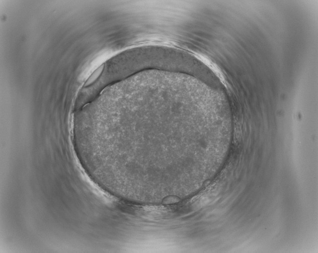 X0000086971383200705141640