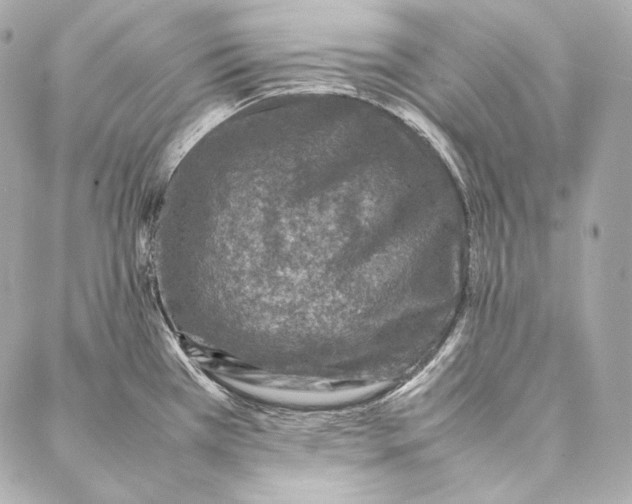 X0000086971385200705141640