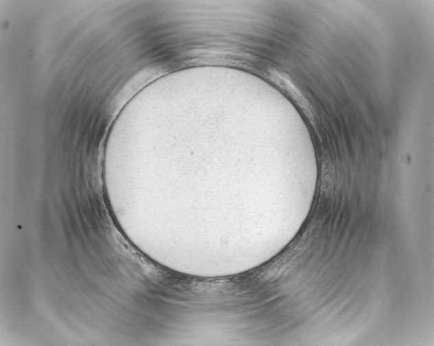 X0000086971386200705141640