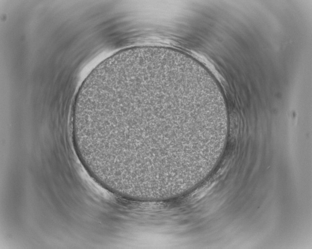 X0000086971387200705141640