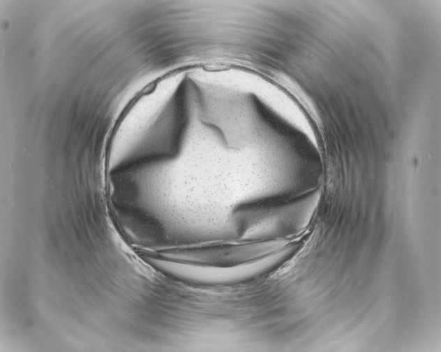 X0000086971388200705141640