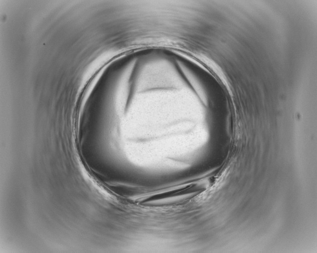 X0000086971389200705141640