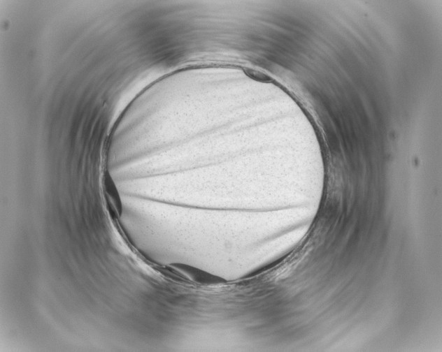 X0000086971390200705141640