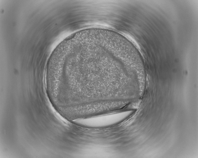 X0000086971391200705141640