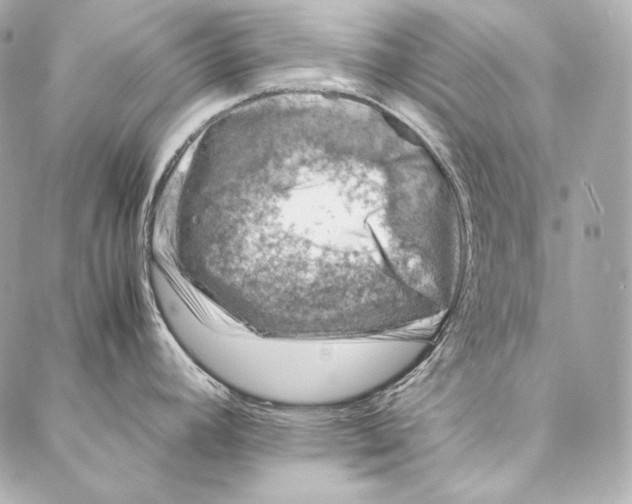 X0000086971392200705141640