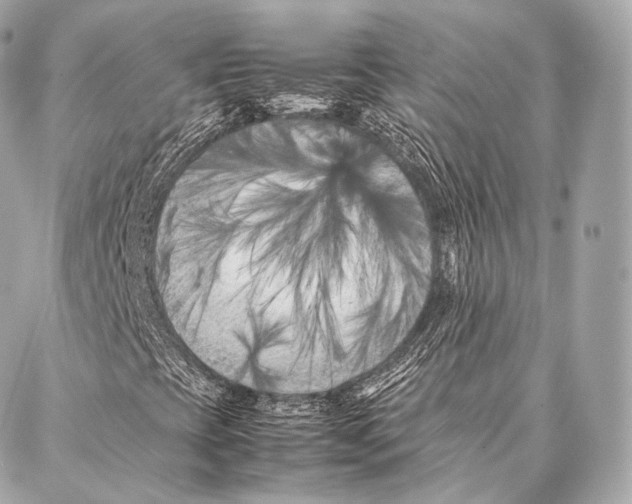 X0000086971393200705141639