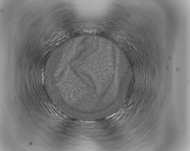 X0000086971394200705141639