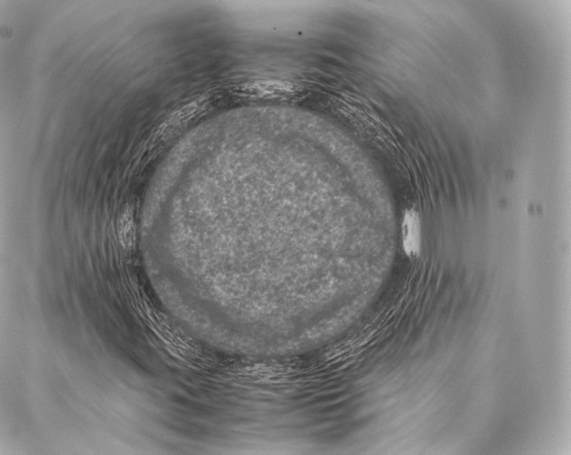 X0000086971395200705141639