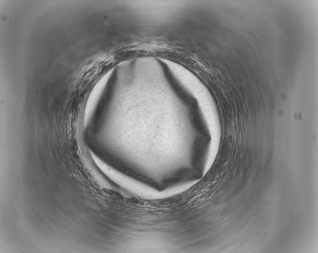 X0000086971398200705141639