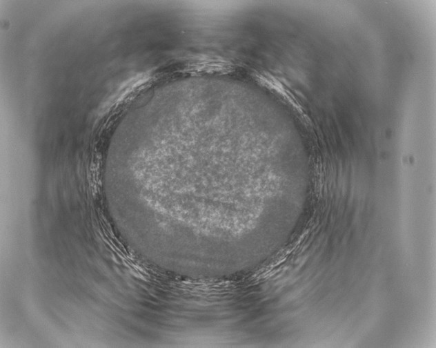 X0000086971399200705141639