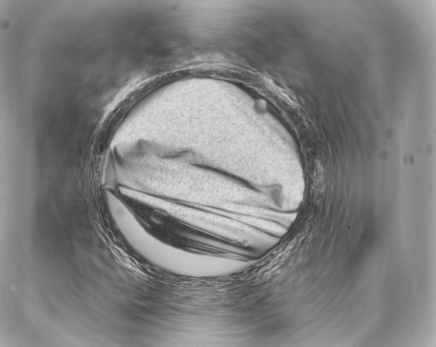 X0000086971400200705141639