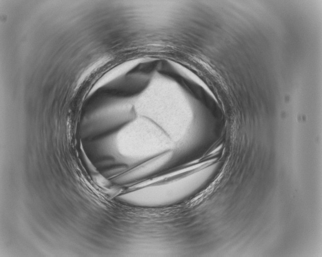 X0000086971402200705141639