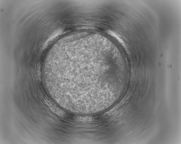 X0000086971403200705141639