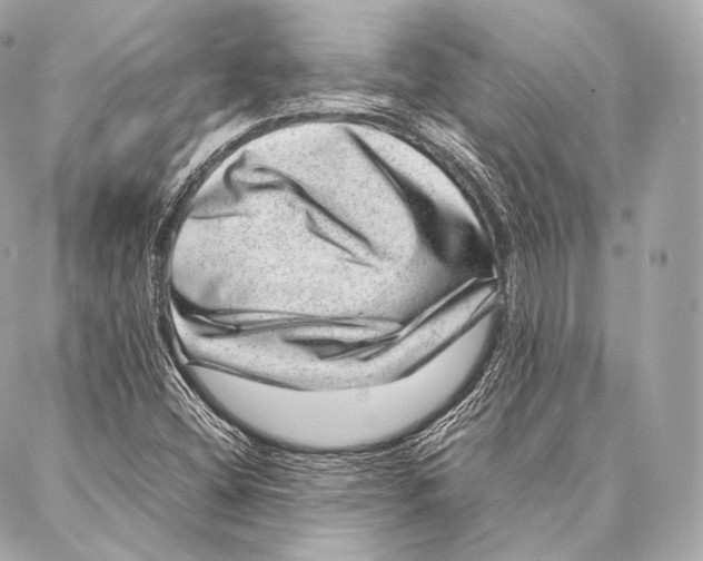 X0000086971404200705141639