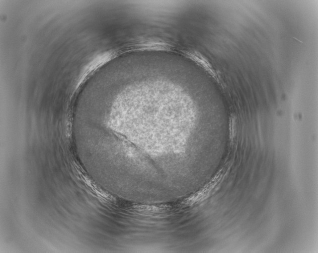 X0000086971405200705141639